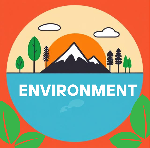 Environment 